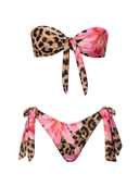 Mira-Leo Charm